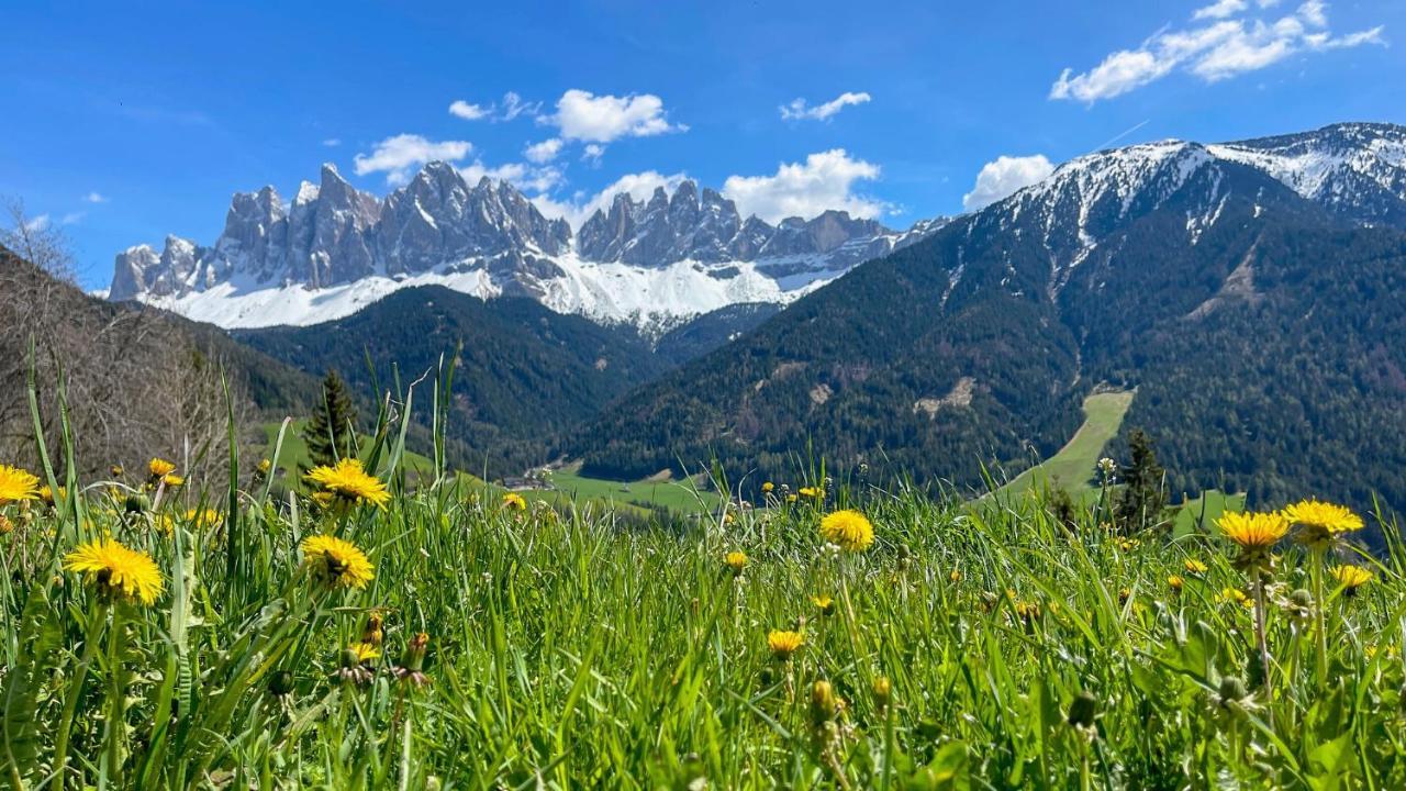 Panoramic Residence Schopplhof Funes  Dış mekan fotoğraf