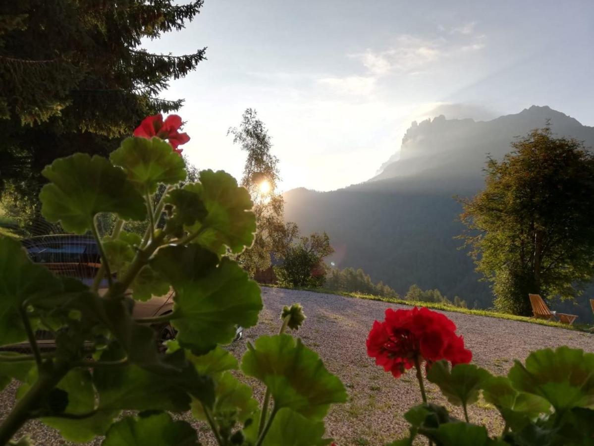 Panoramic Residence Schopplhof Funes  Dış mekan fotoğraf